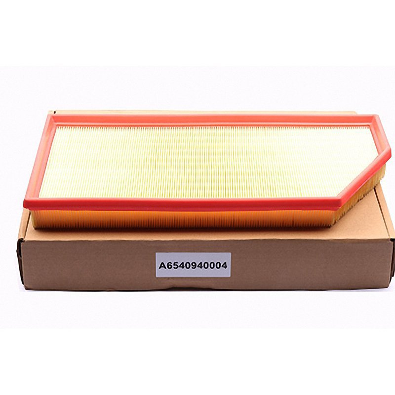 Air Filter A6540940004